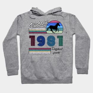 39 Years Old - Made in 1981 - 39th Birthday Men Women Hoodie